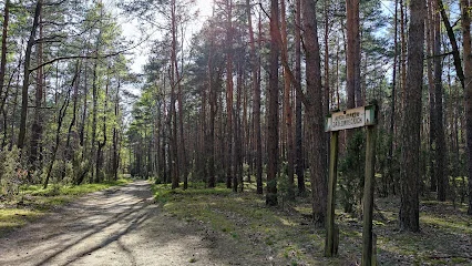 Kampinoski Park Narodowy