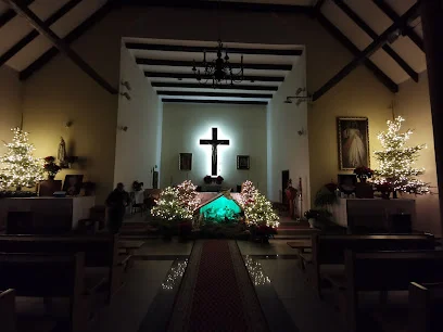 Kościół Nawiedzenia Najświętszej Maryi Panny w Ciechanowie
